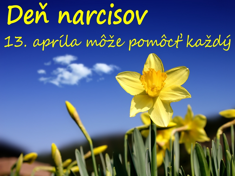 201204102140380.den narcisov