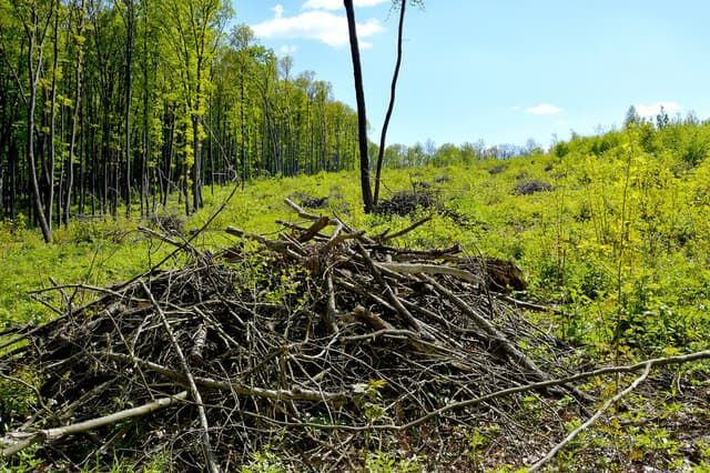 eko recyklacia vody zo strechy