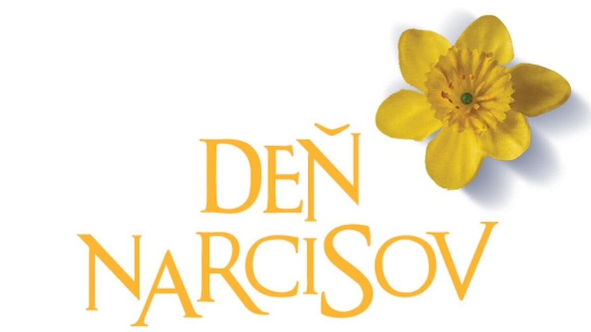 201204102140380.den narcisov