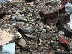 thumb 08 IMG 2567