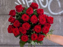 thumb IMG 9811 e1547821255406